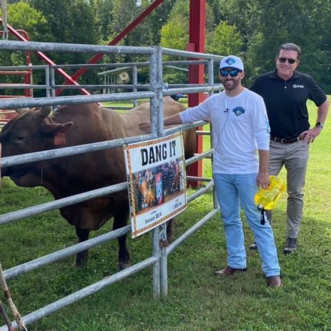 In a media event to preview the Bass Pro Shops Night Race last week, Austin Dillon gave the media a glimpse of his other life in pro sports, where he serves as GM for the Carolina Cowboys PBR team. Here he introduces one of the bulls, "Dang It," to BMS President Jerry Caldwell.