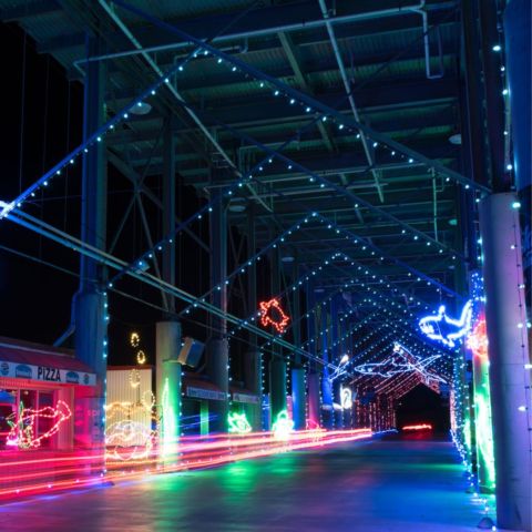 Another display that's in the Top 10 must do's at The Pinnacle Speedway In Lights is the Ripley's Sea of Illumination display, which transports guests to an underwater world of brightly lit sea creatures.