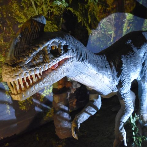 Jurassic Quest