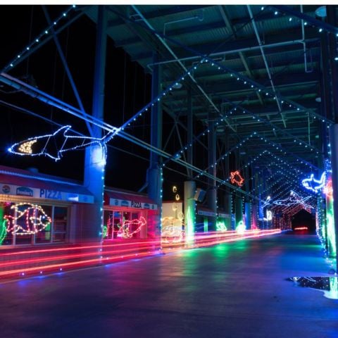 Add up all the lights at Food City Speedway In Lights and you will have more than 4-million that illuminates the 5-mile route at Bristol Motor Speedway, including the popular Aquarium in the Ripley's Sea of Illumination.