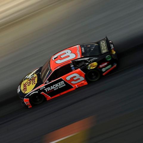 Austin Dillon Night Race 