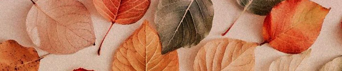 Vintage Market Days Header
